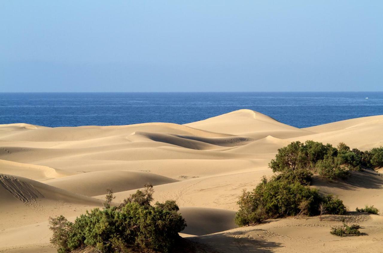 Bungalow En Maspalomas ماسبالوماس المظهر الخارجي الصورة